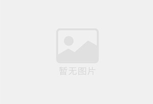 非诺贝特酸